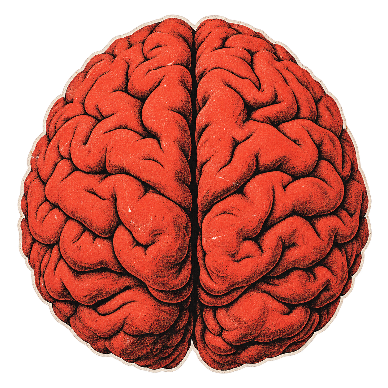 Cerebro rojo de papel, entrada al universo creativo